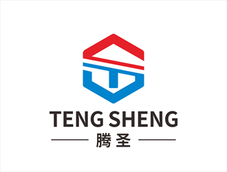 唐國(guó)強(qiáng)的騰圣有機(jī)玻璃工藝制品logo設(shè)計(jì)